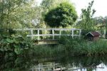 DSC06222.JPG