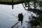 DSC06249.JPG
